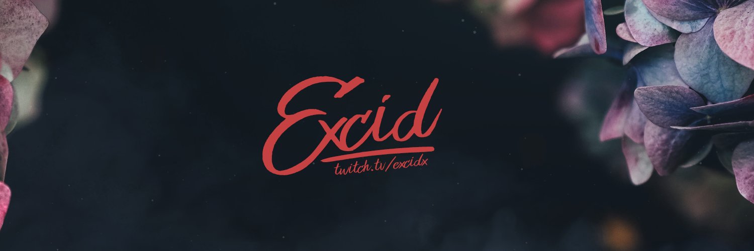 Excid banner
