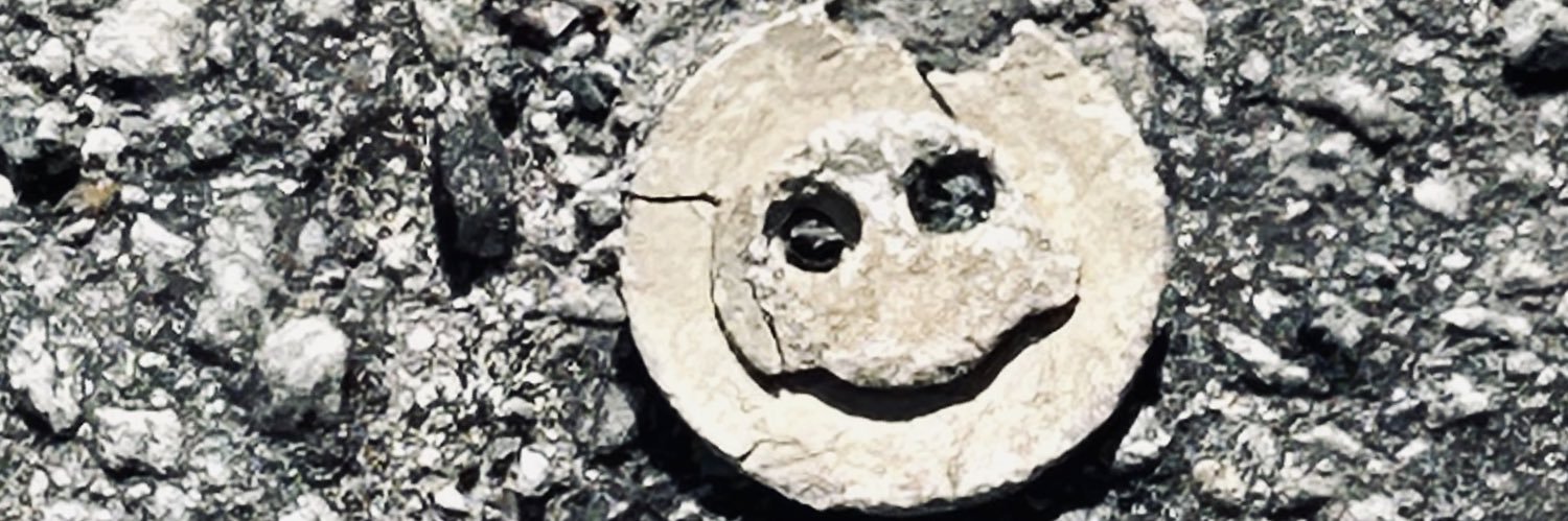 Mack Lee Green banner