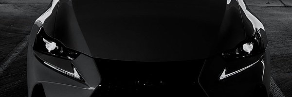 HomerAped Profile Banner