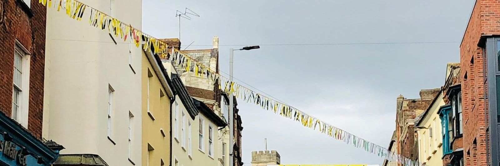 Ann Hunter, InExeter banner