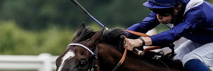 David probert banner