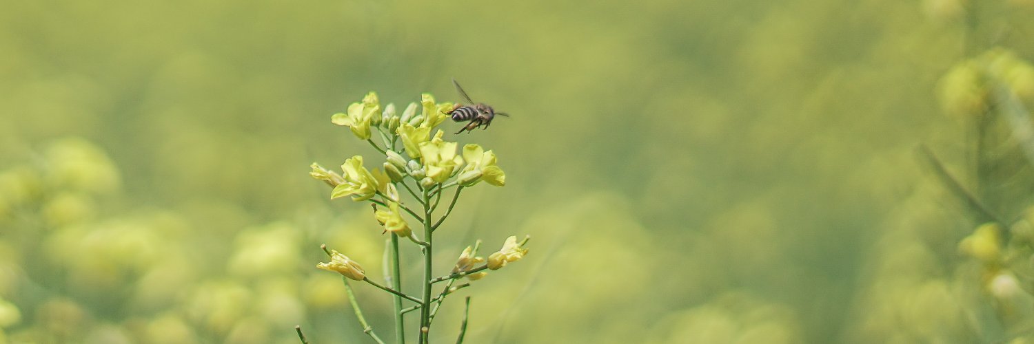 James Wakibia #PlasticTreatyNow banner