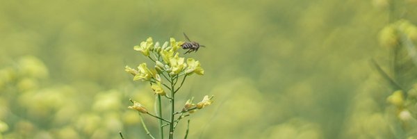 JamesWakibia Profile Banner
