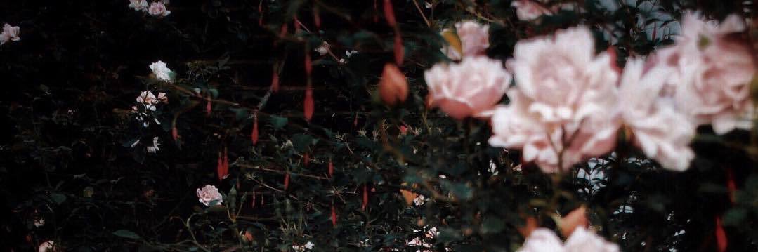 teesmay_'s profile banner image