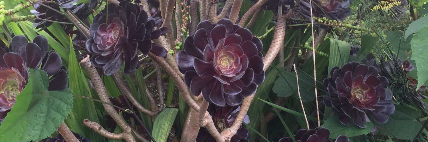 Be the light! banner