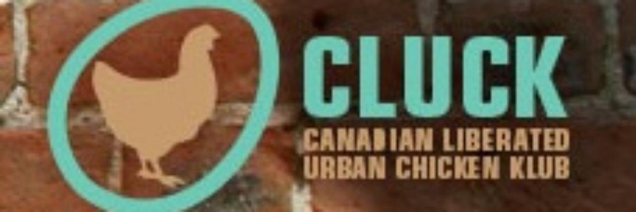 CLUCKAirdrie's profile banner image