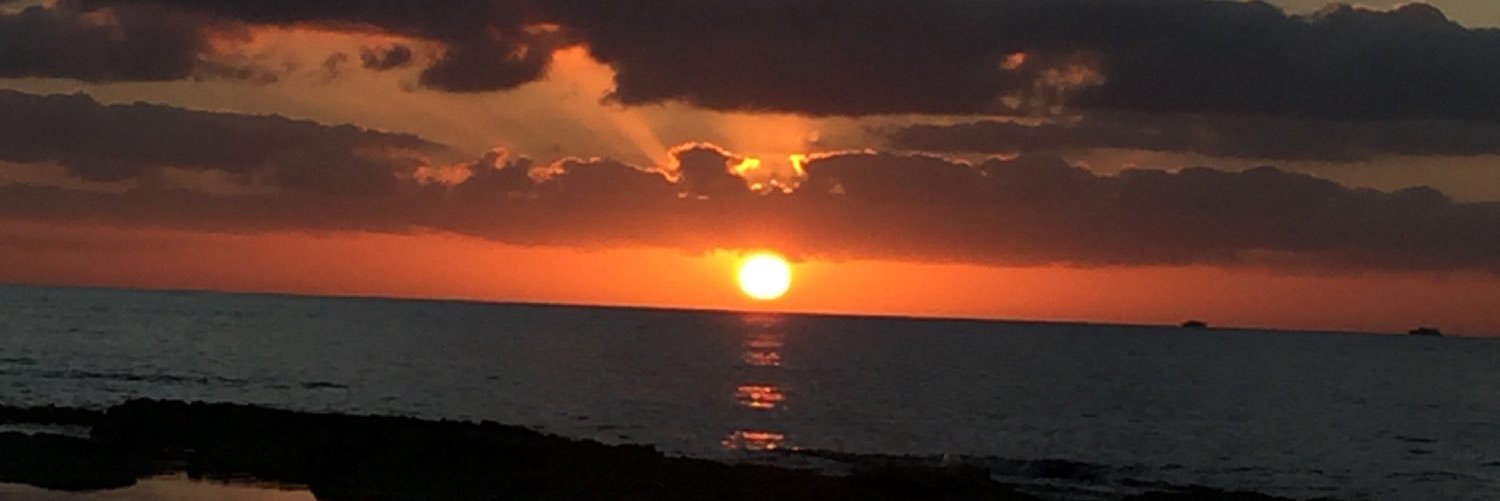 lizvalero's profile banner image