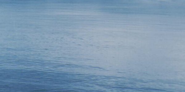 _Hsleen's profile banner image