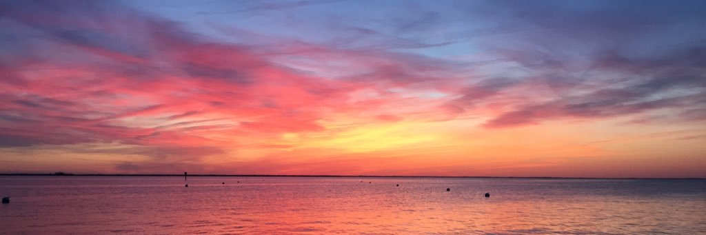 jasonmsetty's profile banner image