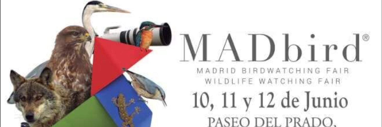 madbirdfair's profile banner image