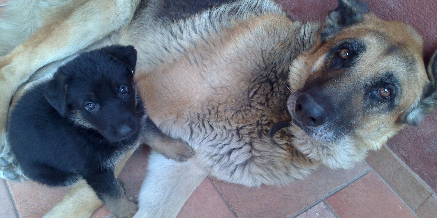 atin122's profile banner image