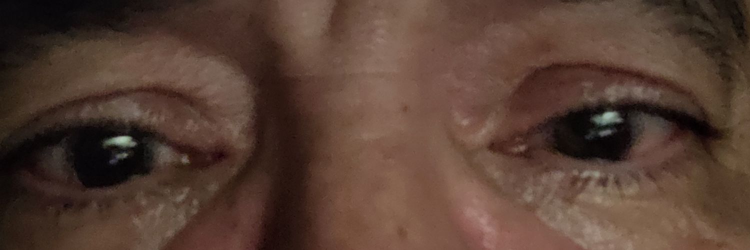 Thomemadeira's profile banner image