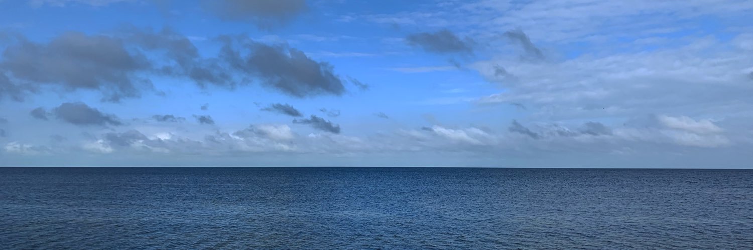 MARAVERT's profile banner image