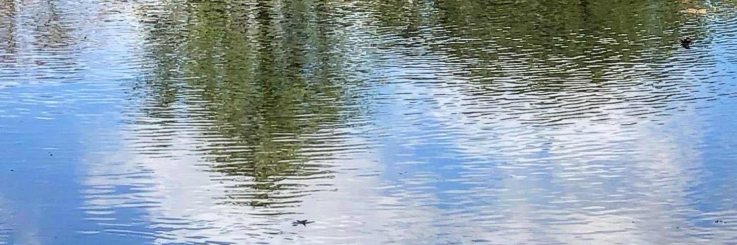 BillShields10's profile banner image