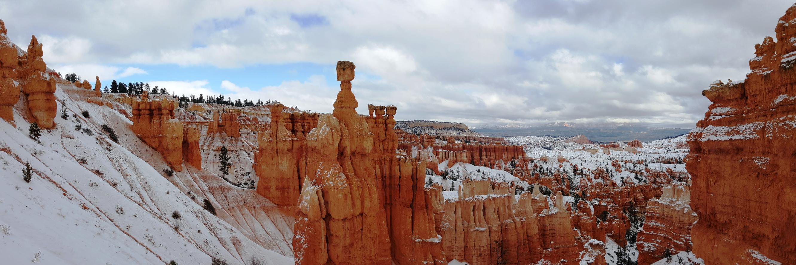 KitCat 🇺🇲 banner