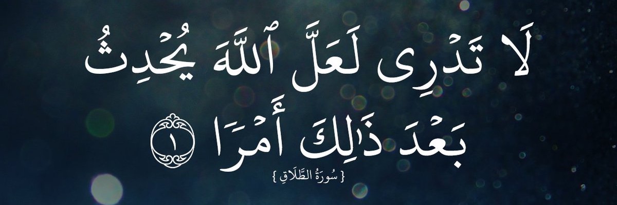 Fatimah A. Meshikhes banner