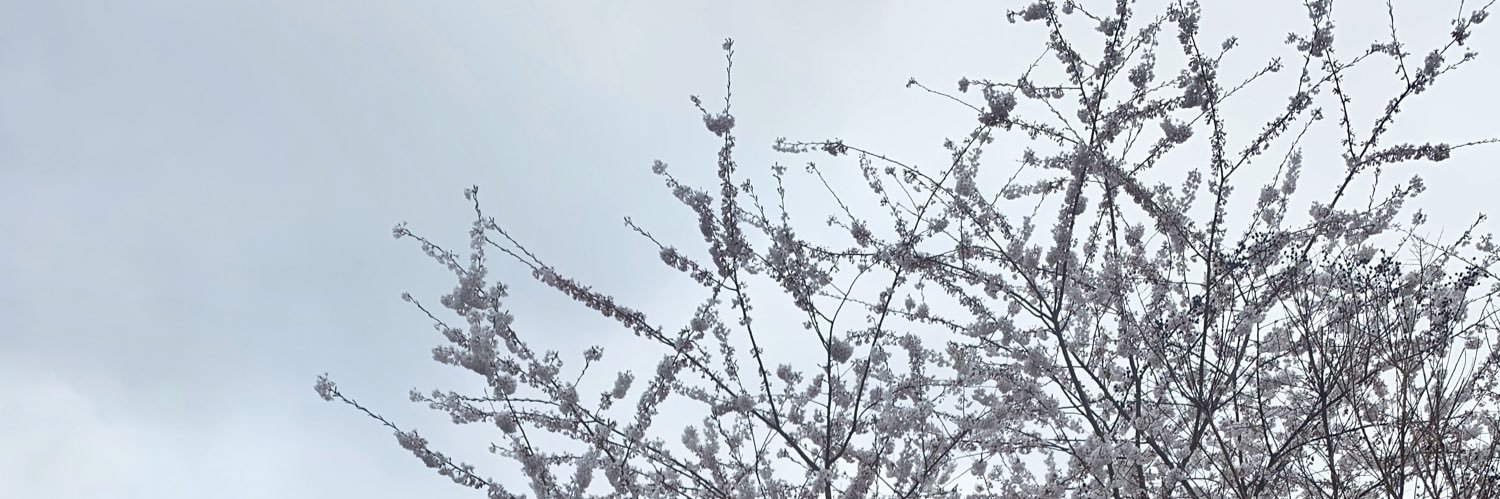 sbunsa24's profile banner image