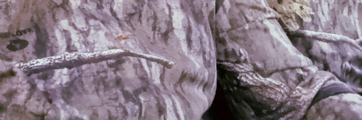themechanixxxc's profile banner image