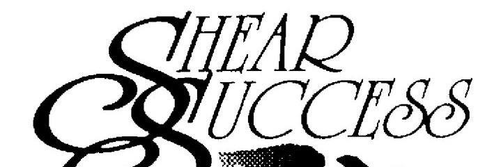 Shearsuccessmn's profile banner image