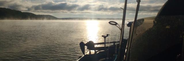 Skyfish01's profile banner image