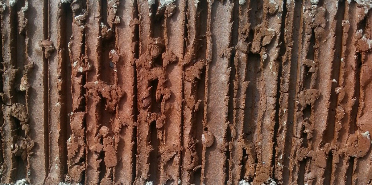 Juels_Bland's profile banner image