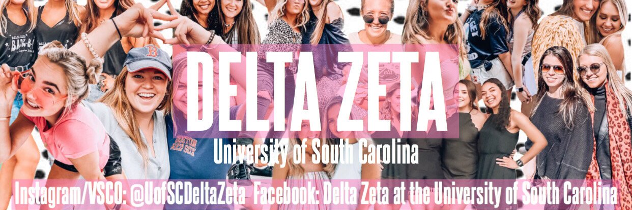 USCDeltaZeta's profile banner image