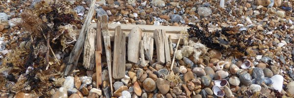 AnnaM46 Profile Banner