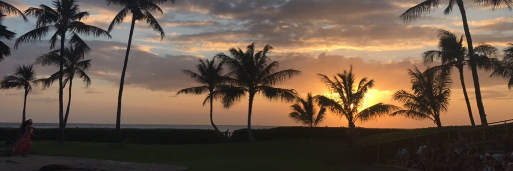 pamdemello's profile banner image
