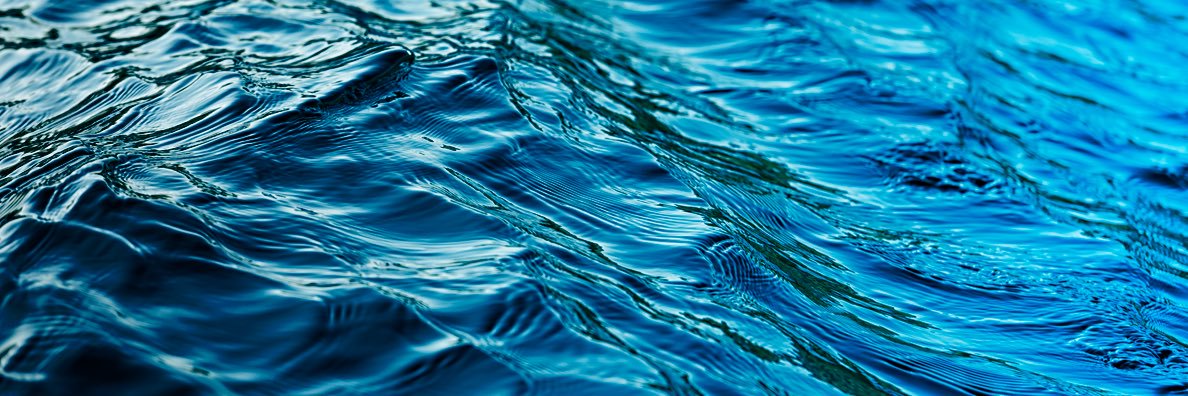 Bill Santulli banner