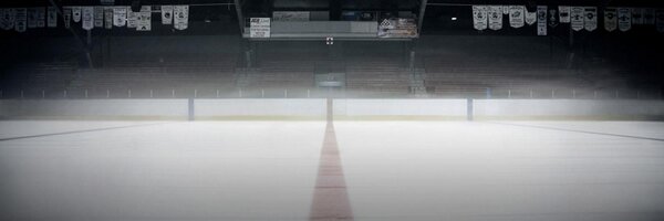 vladbspm Profile Banner