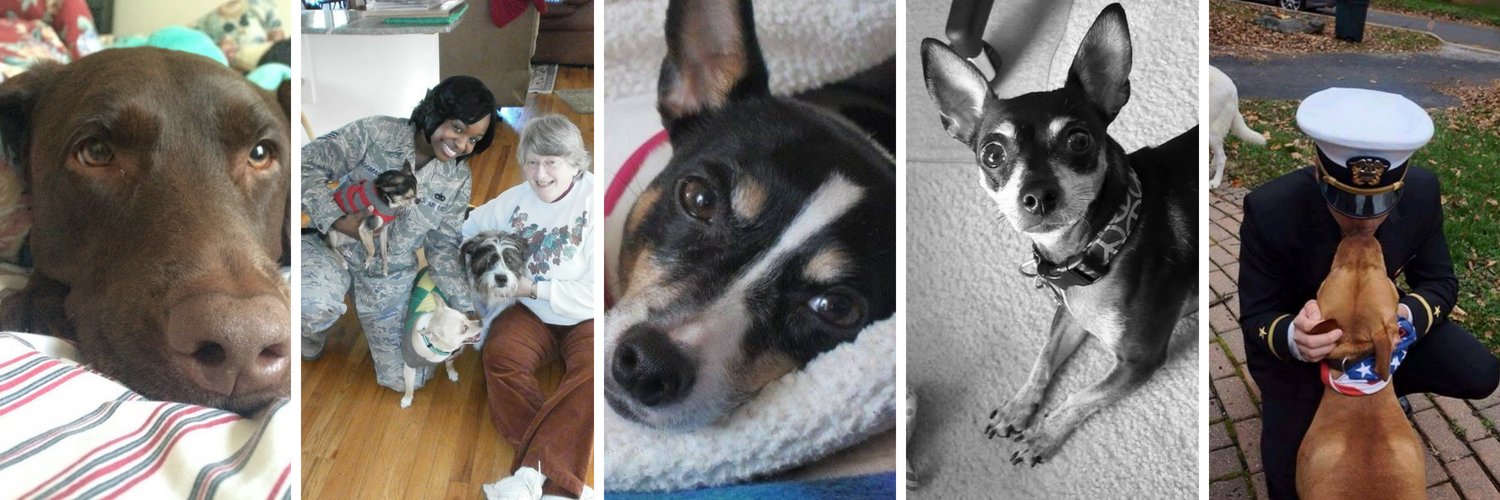 PACT for Animals banner