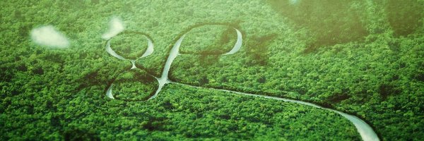 sabeti_lab Profile Banner