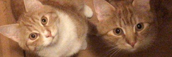 monaaaa_10's profile banner image