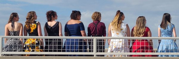 UCDLark Profile Banner