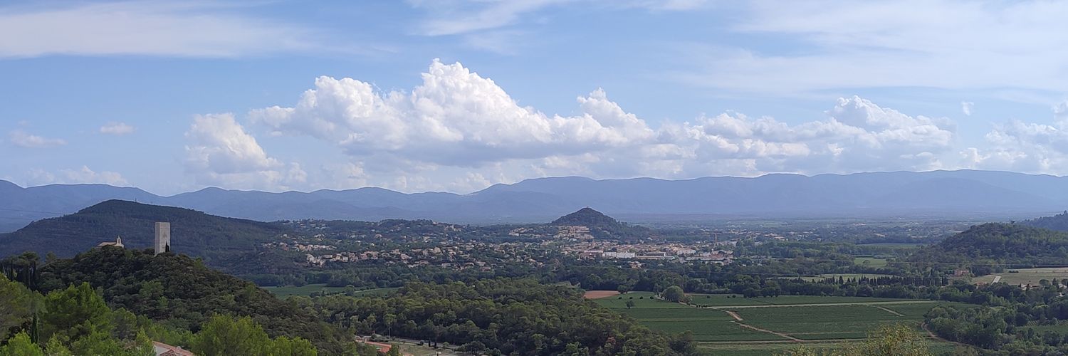 PiastFidra's profile banner image