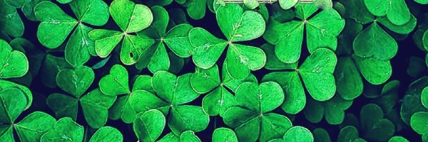 ecophil Profile Banner