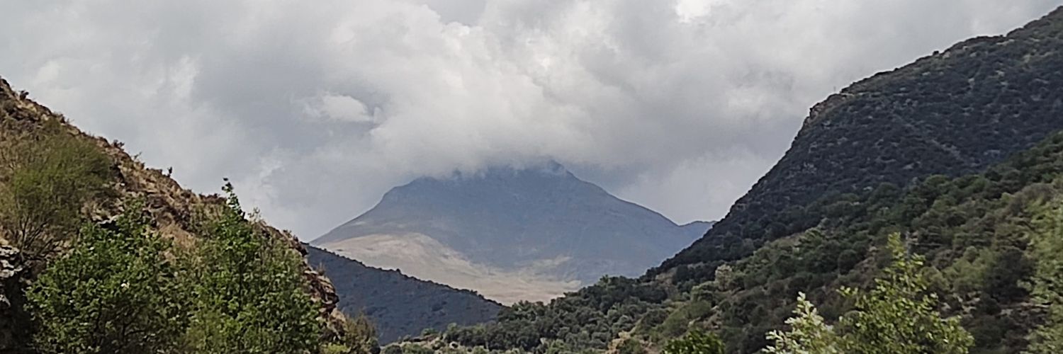 efremutrera's profile banner image