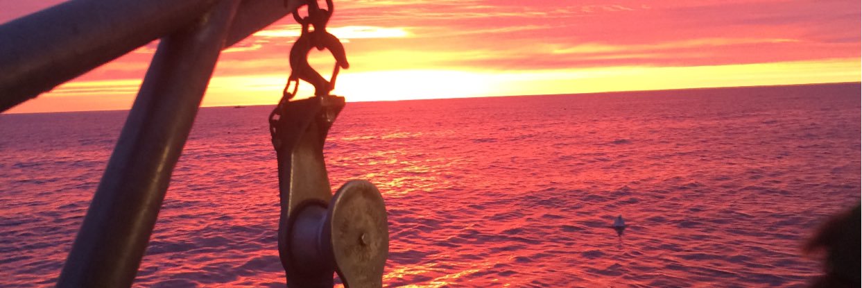austenmaclellan's profile banner image