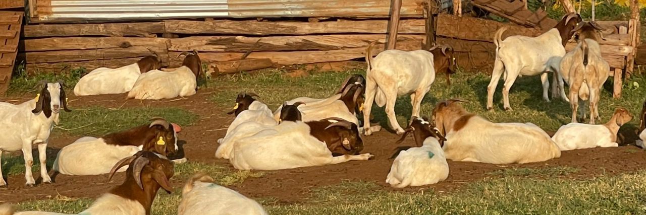 Yuri-Юрий🖥🇷🇺 banner