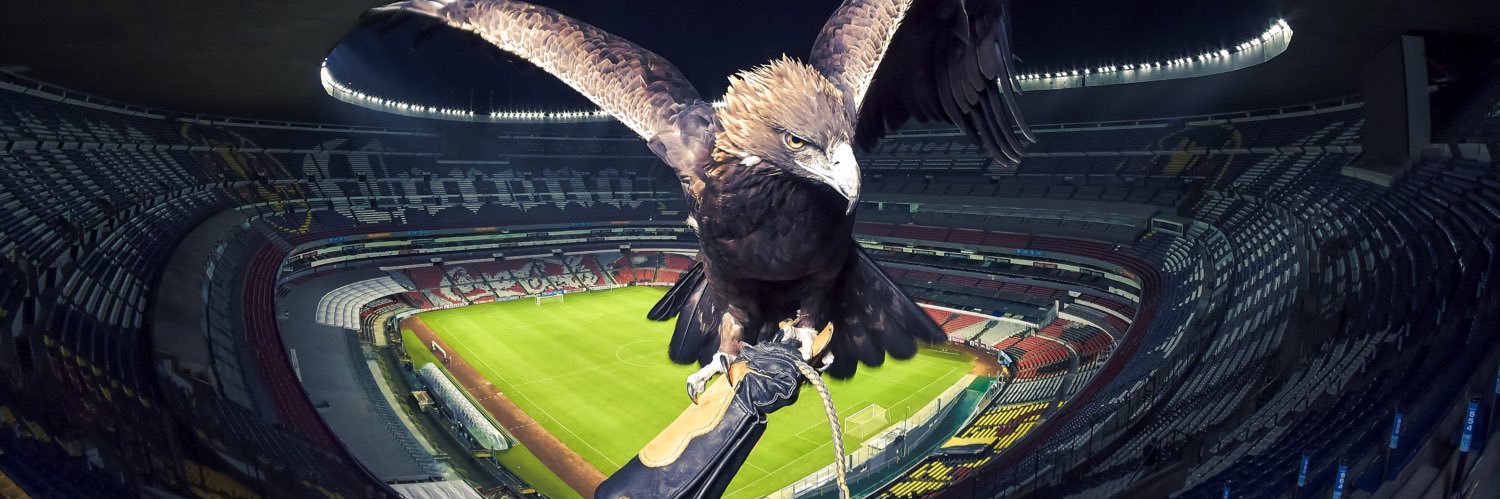 𝙼𝚊𝚛𝚒𝚘  banner