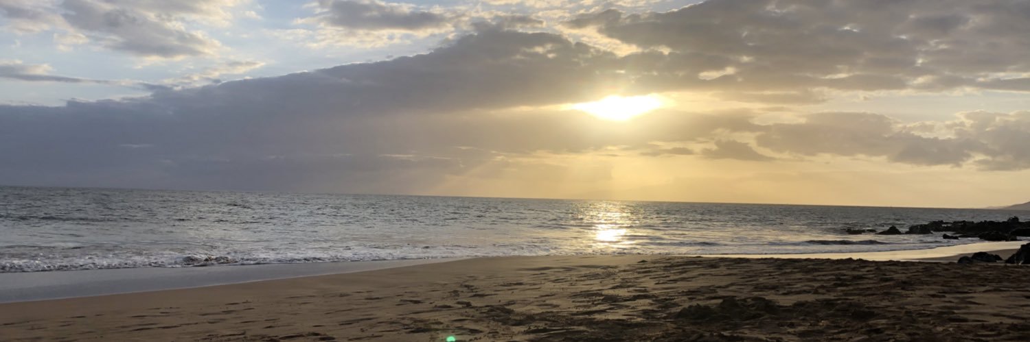 Trevor H banner