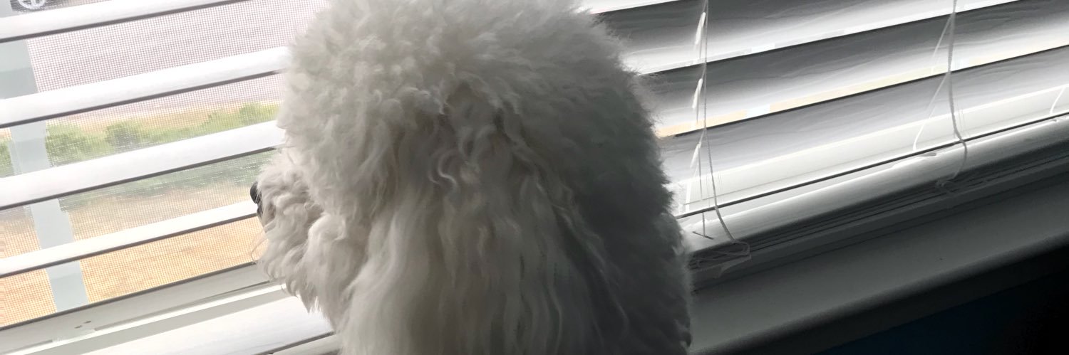 WorkLawyerYT's profile banner image