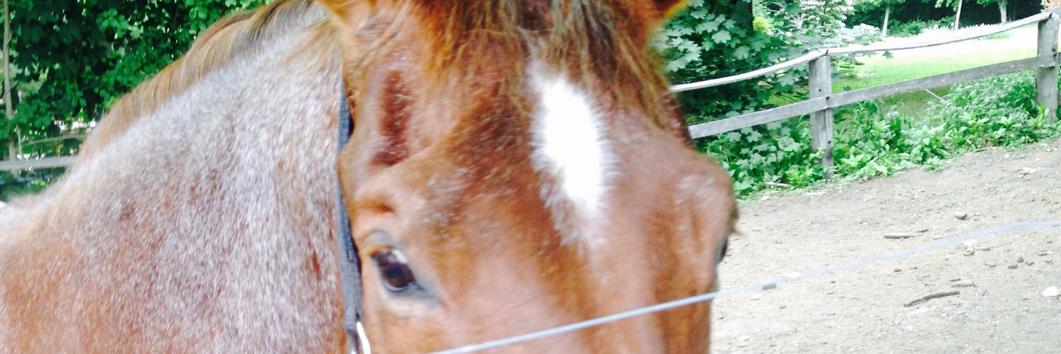 Cheyennetracy's profile banner image