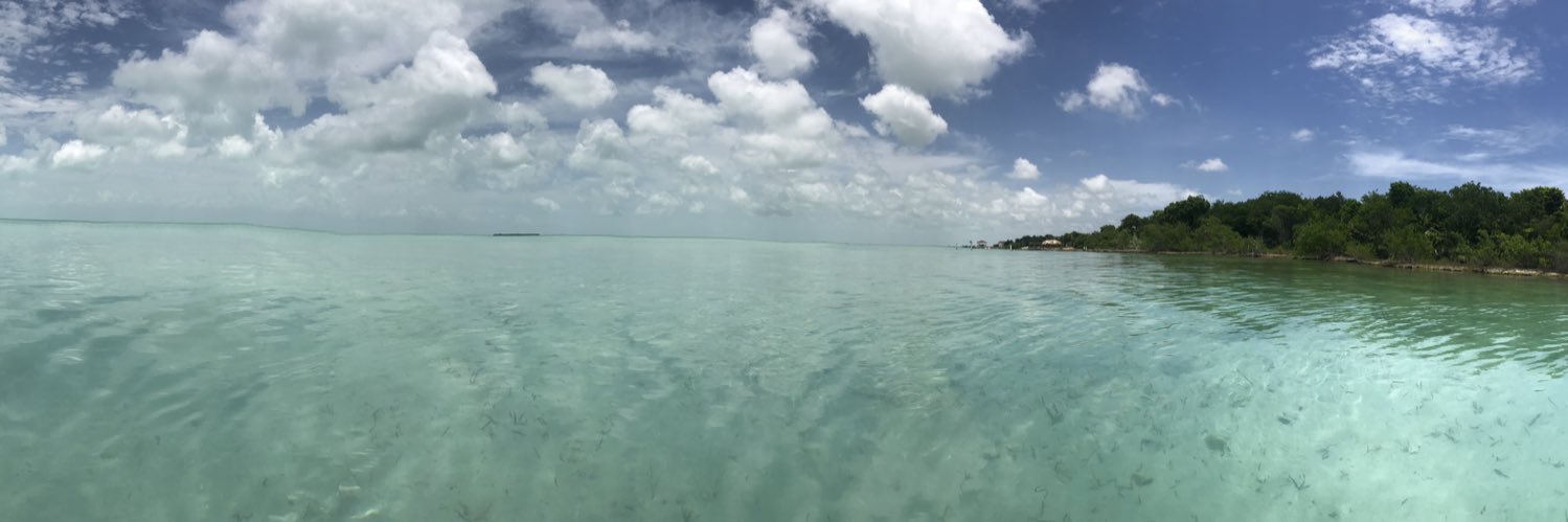 Sydney Holley banner