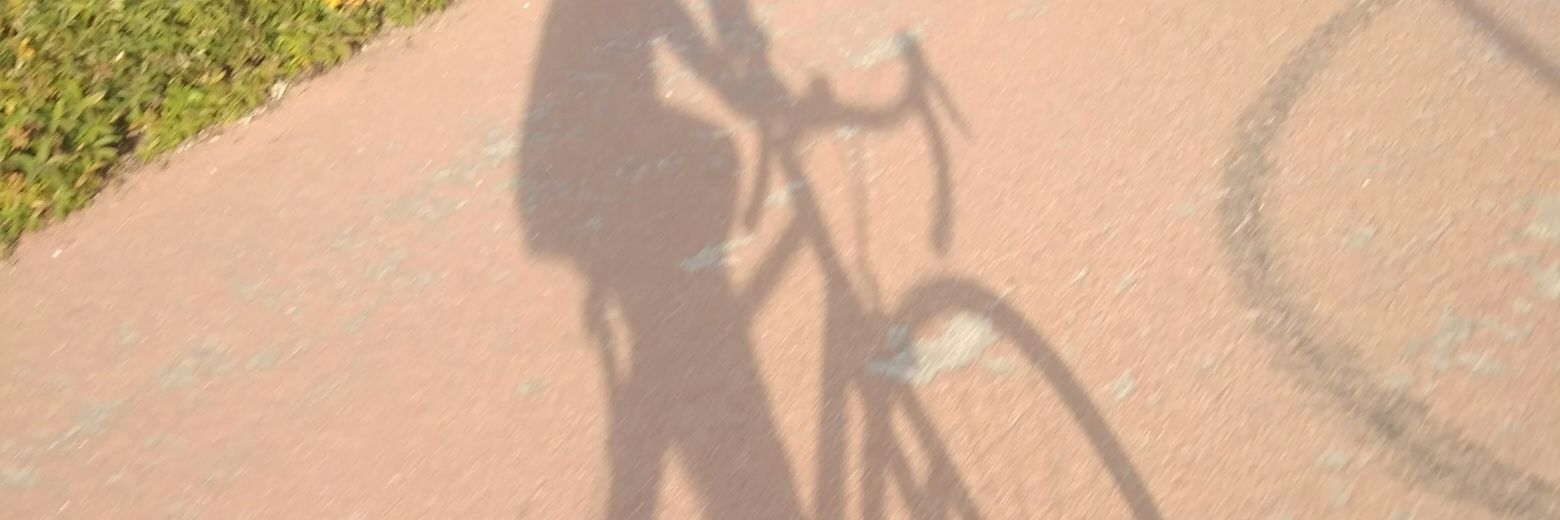 1carlos_gp's profile banner image