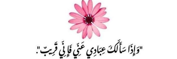 halima__zad's profile banner image