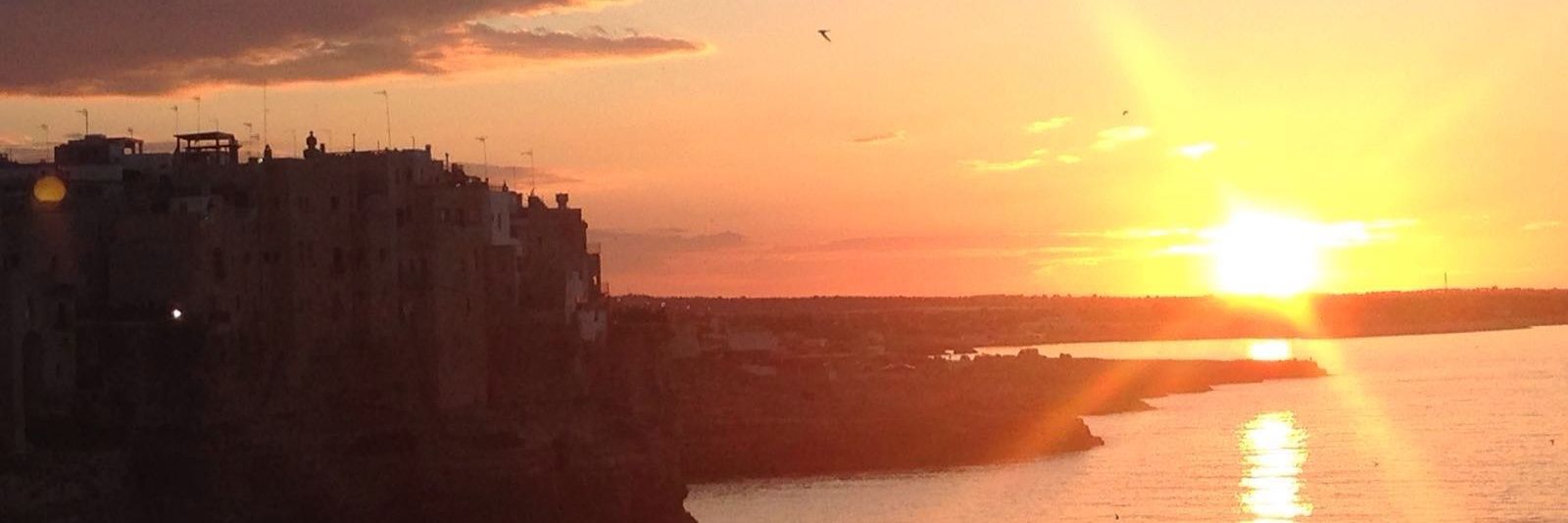 milletramonti's profile banner image
