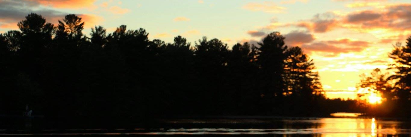 taylorjmac11's profile banner image