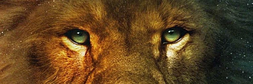 FelipeHitsPower's profile banner image
