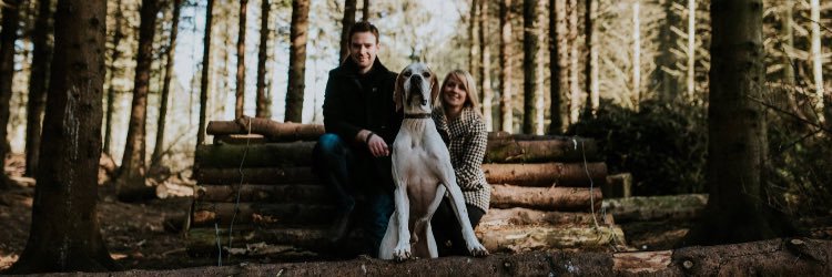 nattate1's profile banner image